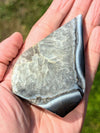 Black-Agate-Freeform-172g