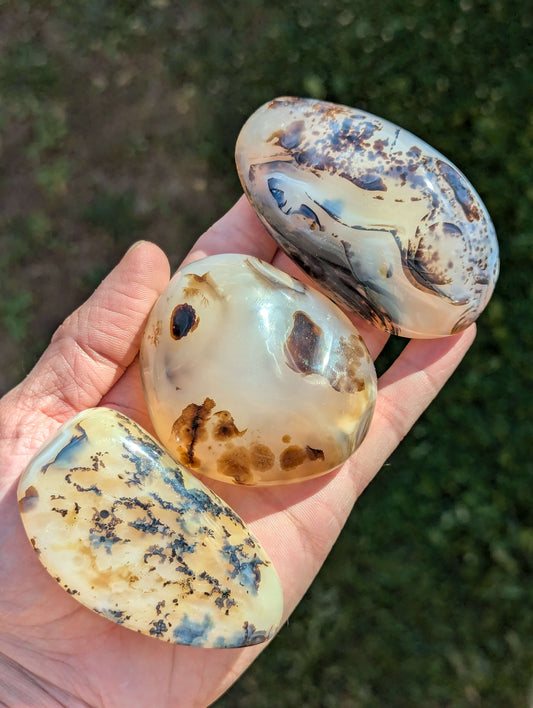Dendritic Agate Palm Stone