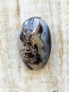 Dendritic-Agate-Palmstone