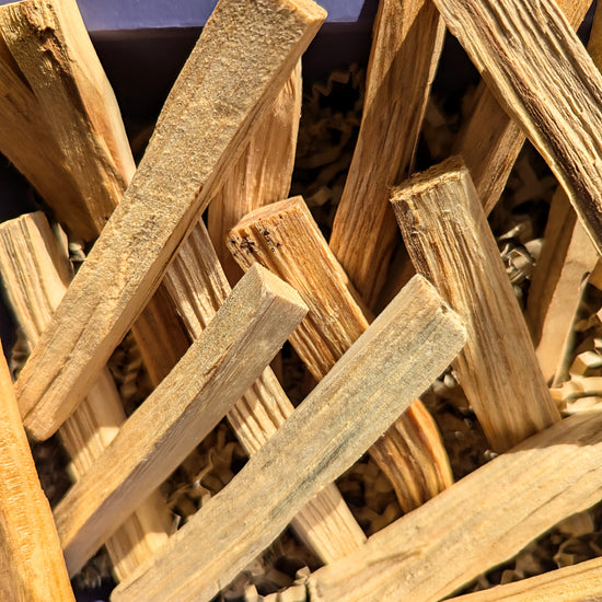 Peruvian_Palo_Santo