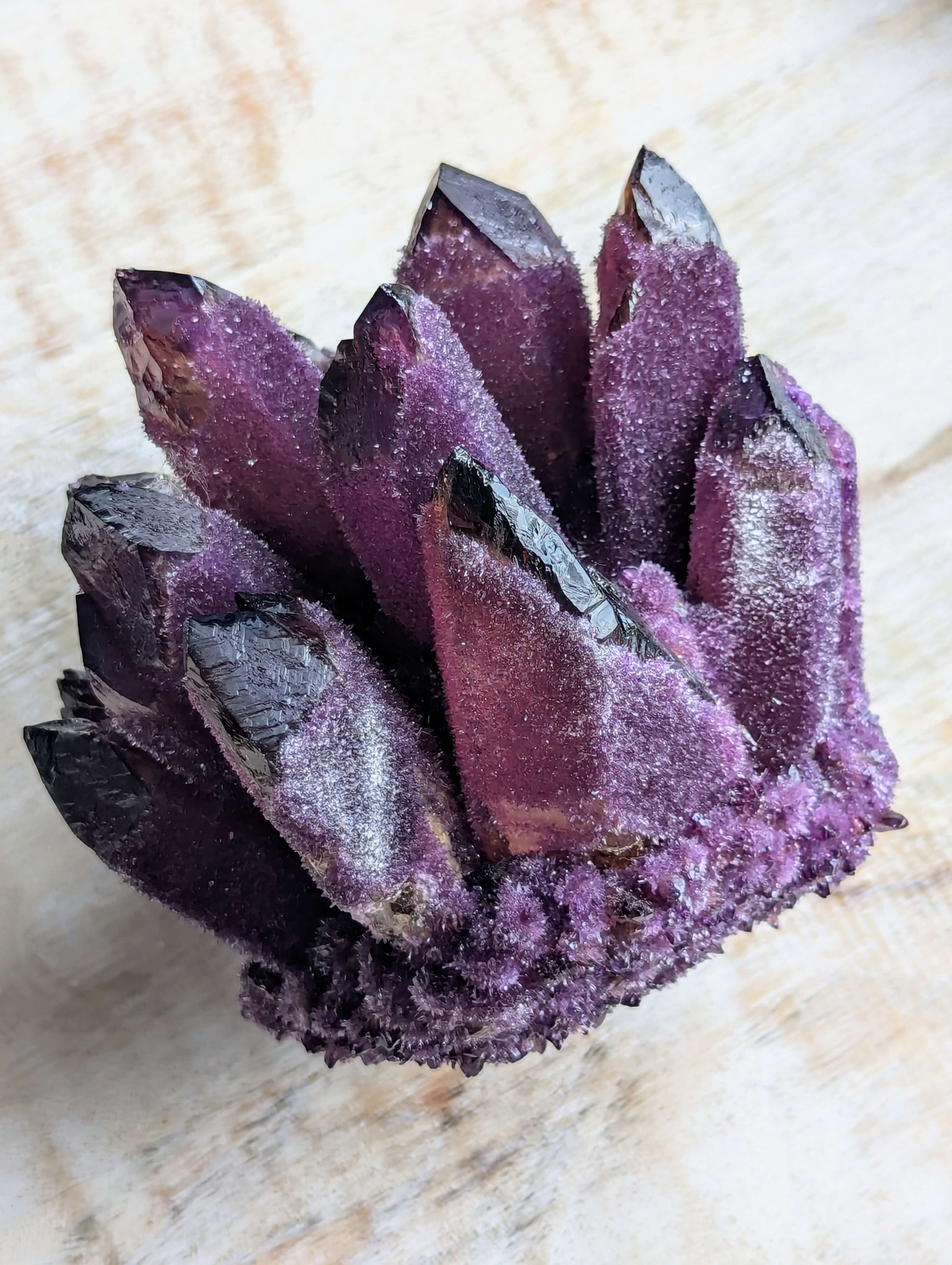 Purple-Phantom-Ghost-Cluster