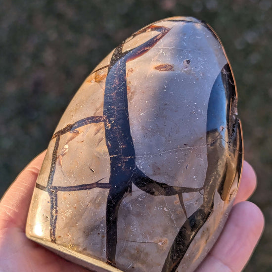 Septarian-crystal-egg