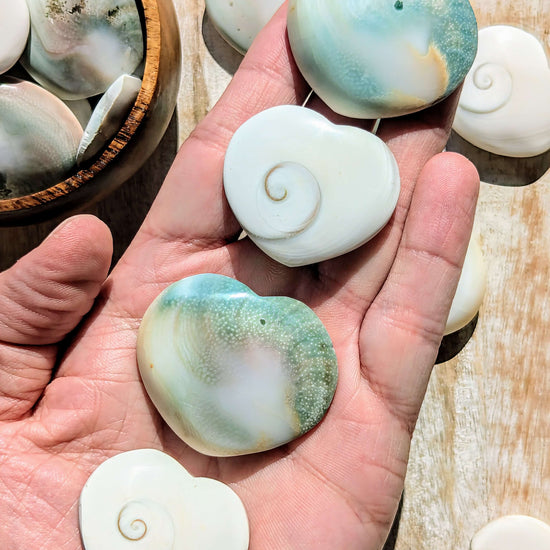 Shiva-Eye-Shell-Heart