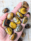 Tiger-Eye-Tumble