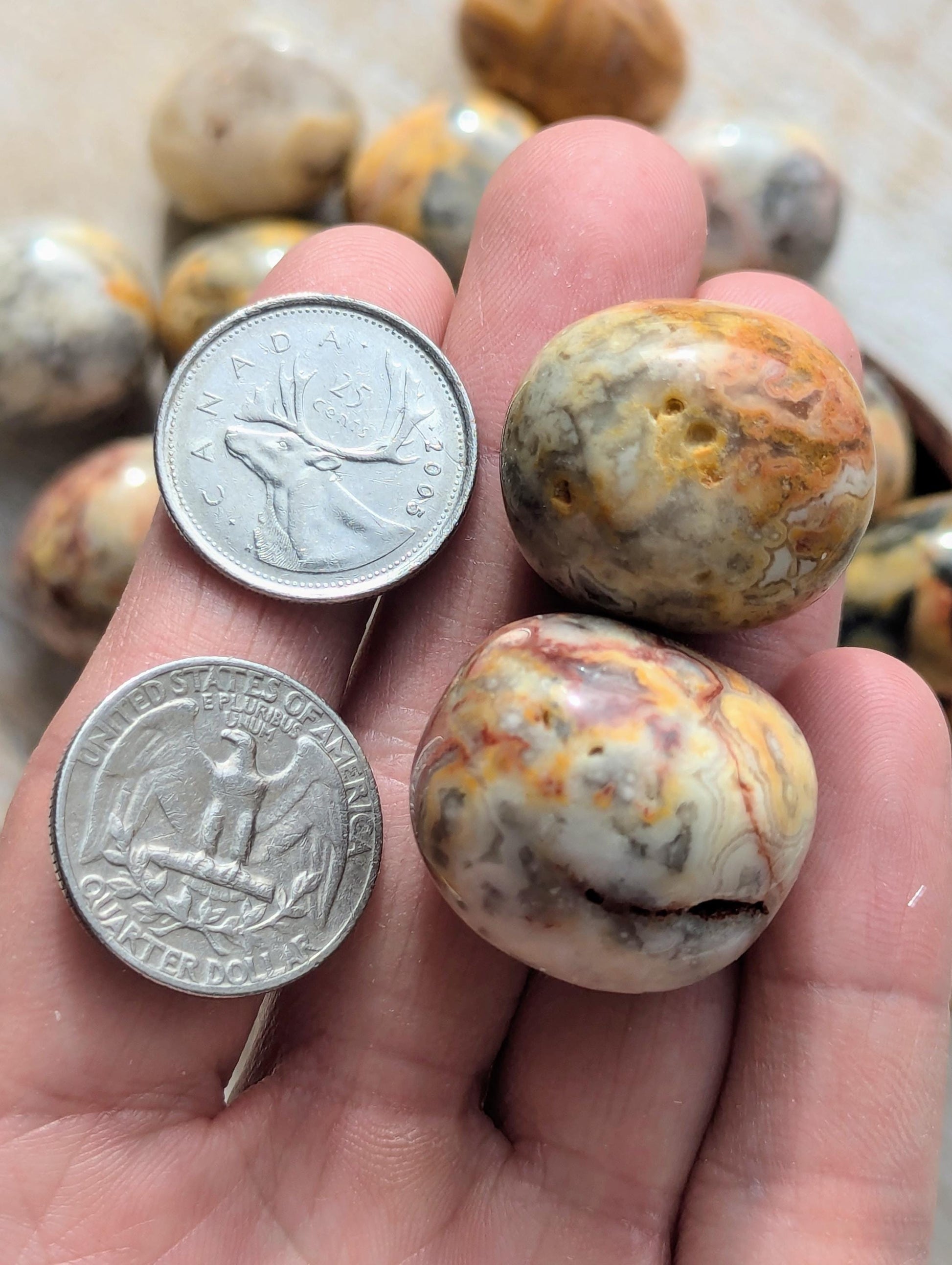 Tumbled Crazy Lace Agate