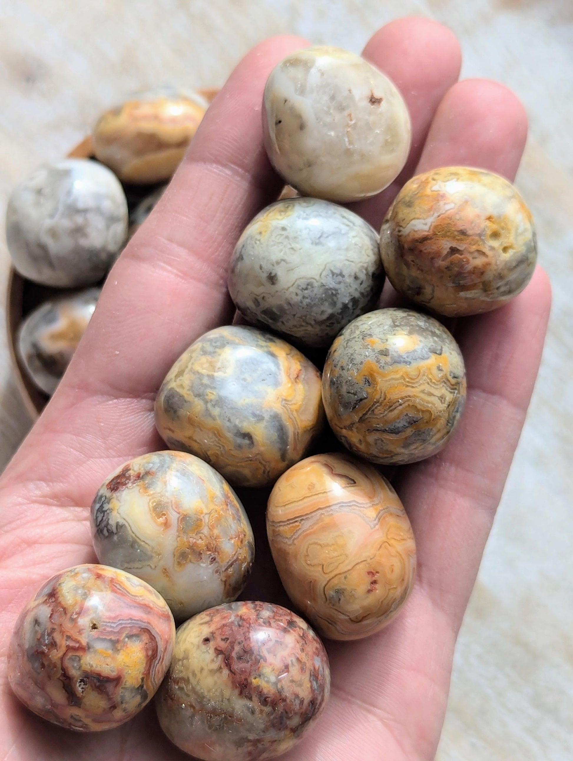 Tumbled Crazy Lace Agate Crystals