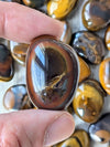 Yellow-Tiger-Eye-Tumbled-Stone