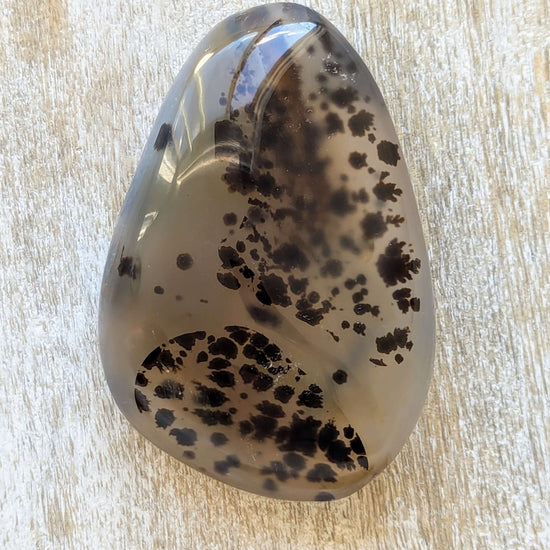 dendritic-agate-palm