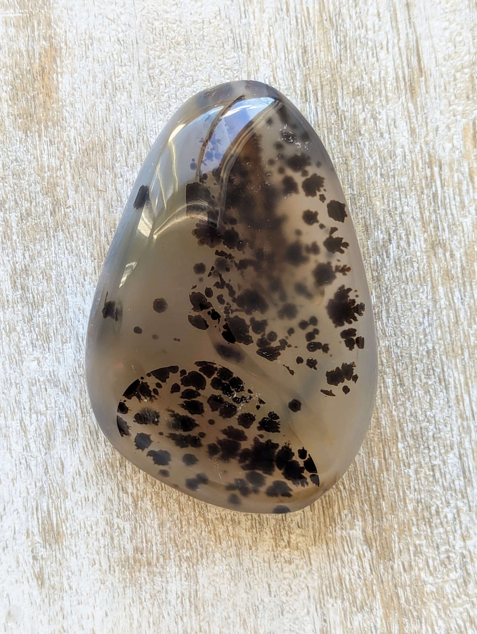 dendritic-agate-palm