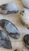Dendritic Agate Palm Stone