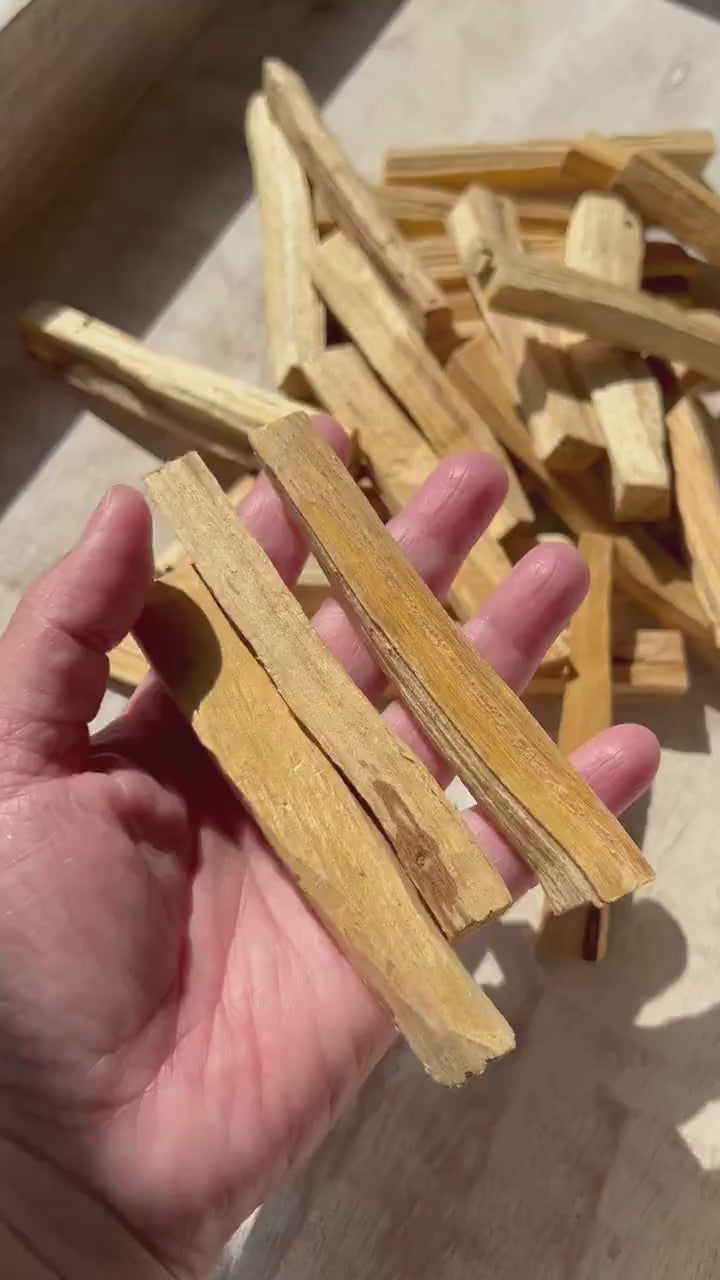 Bulk Organic Peruvian Palo Santo Smudge Sticks, Ethically Sourced
