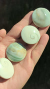 Shiva-Eye-Shell-Round-Shaped-Stone