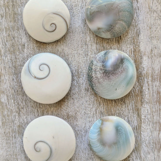 shiva-eyes-shell