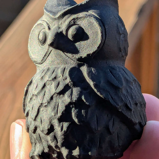 Black-Obsidian-Owl-Small-Carving