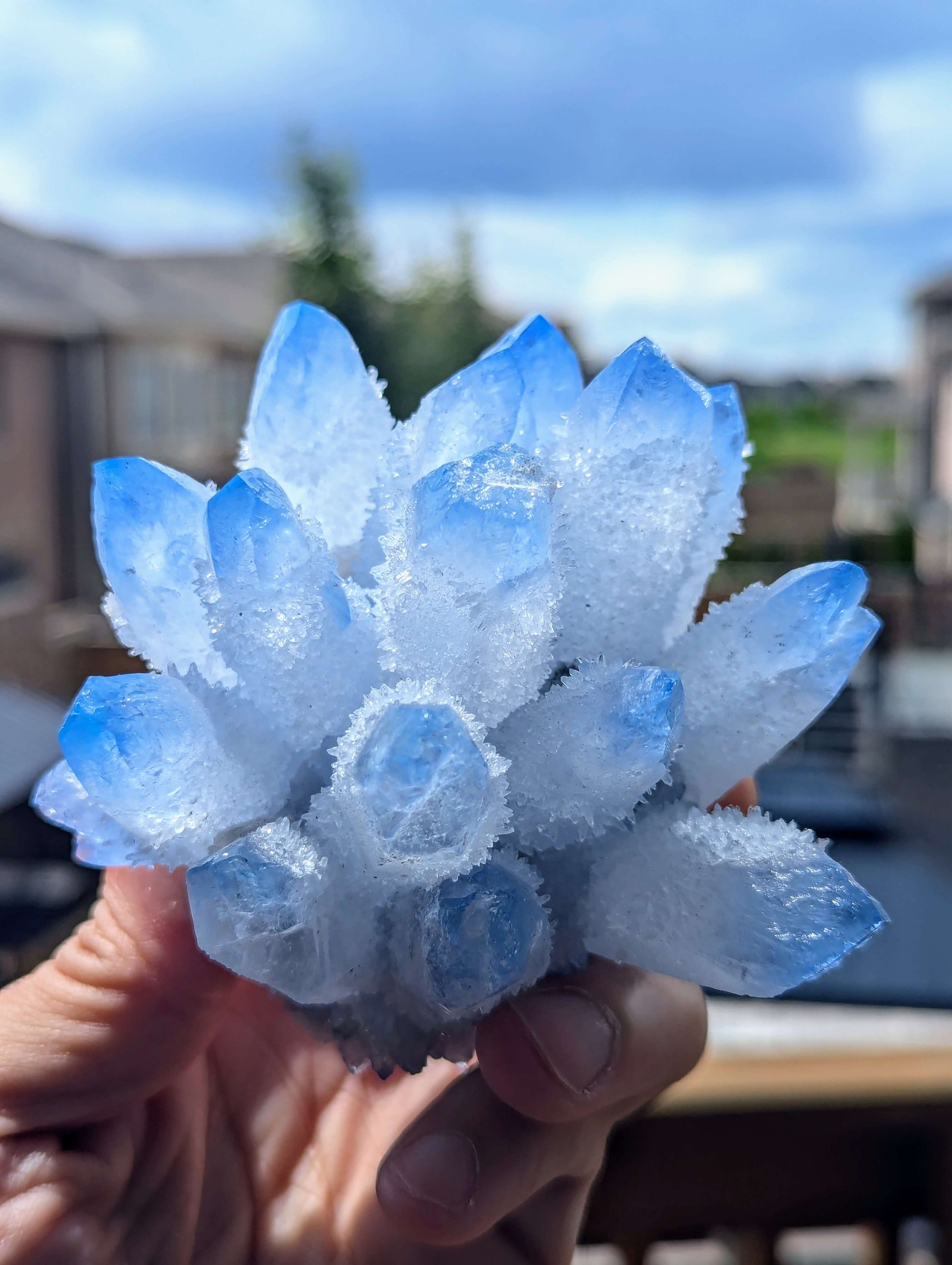 Blue-Phantom-Ghost-Quartz-Cluster