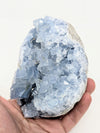 Large Raw Celestite Crystal Cluster Geode