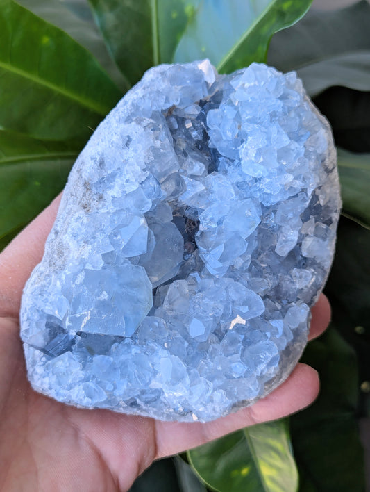 Blue-Celestite-Crystal-Geode