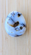 Dendritic-Tiger-Agate-palm-Stone