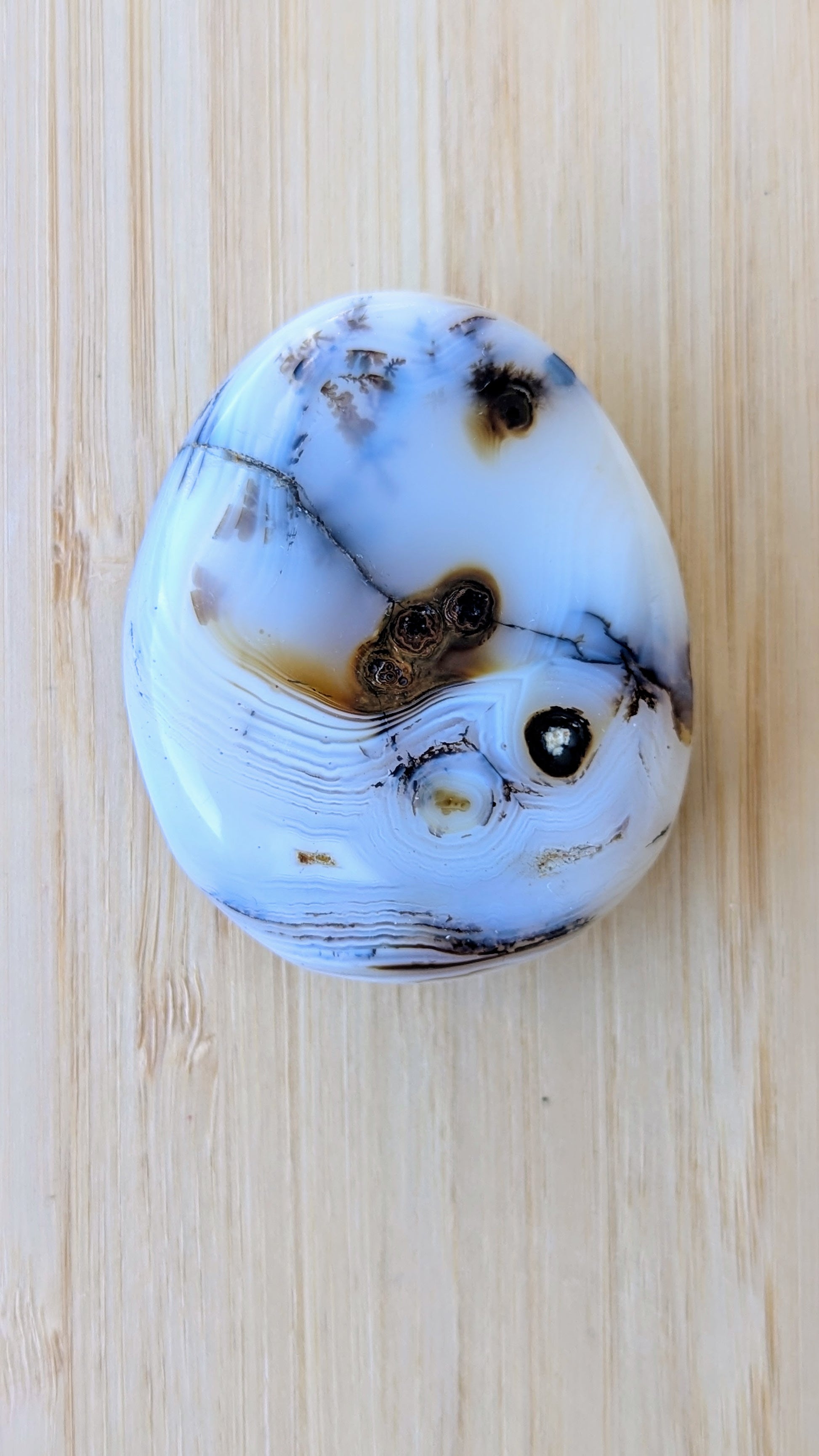 Dendritic-Tiger-Agate-palm-Stone