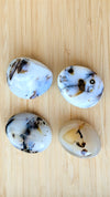Dendritic-Tiger-Agate-Palm-Stones