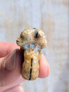 Fossil-ammonite-for-jewelry-making