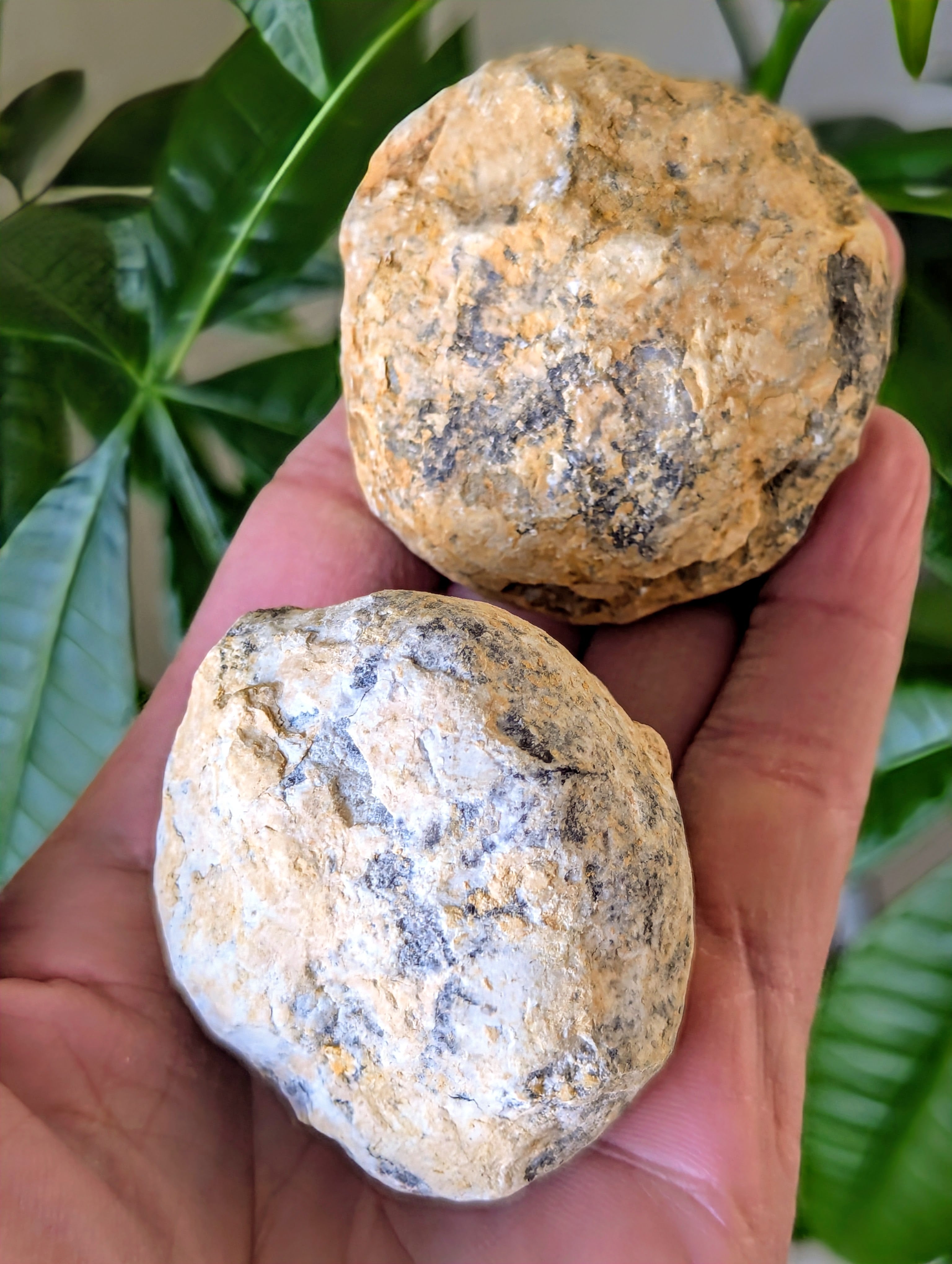 Unopened Geodes – Aurora Stones