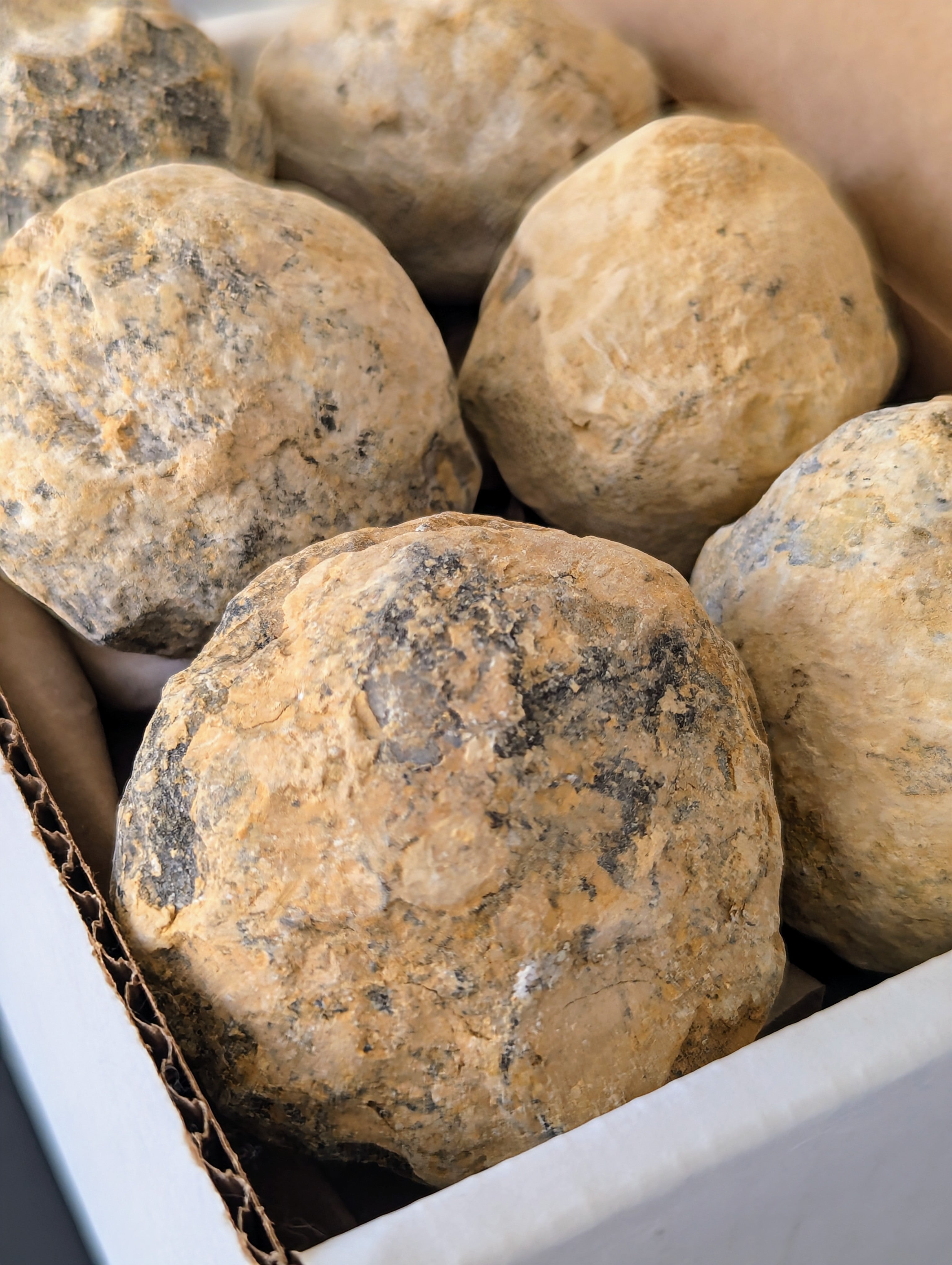 Unopened Geodes – Aurora Stones