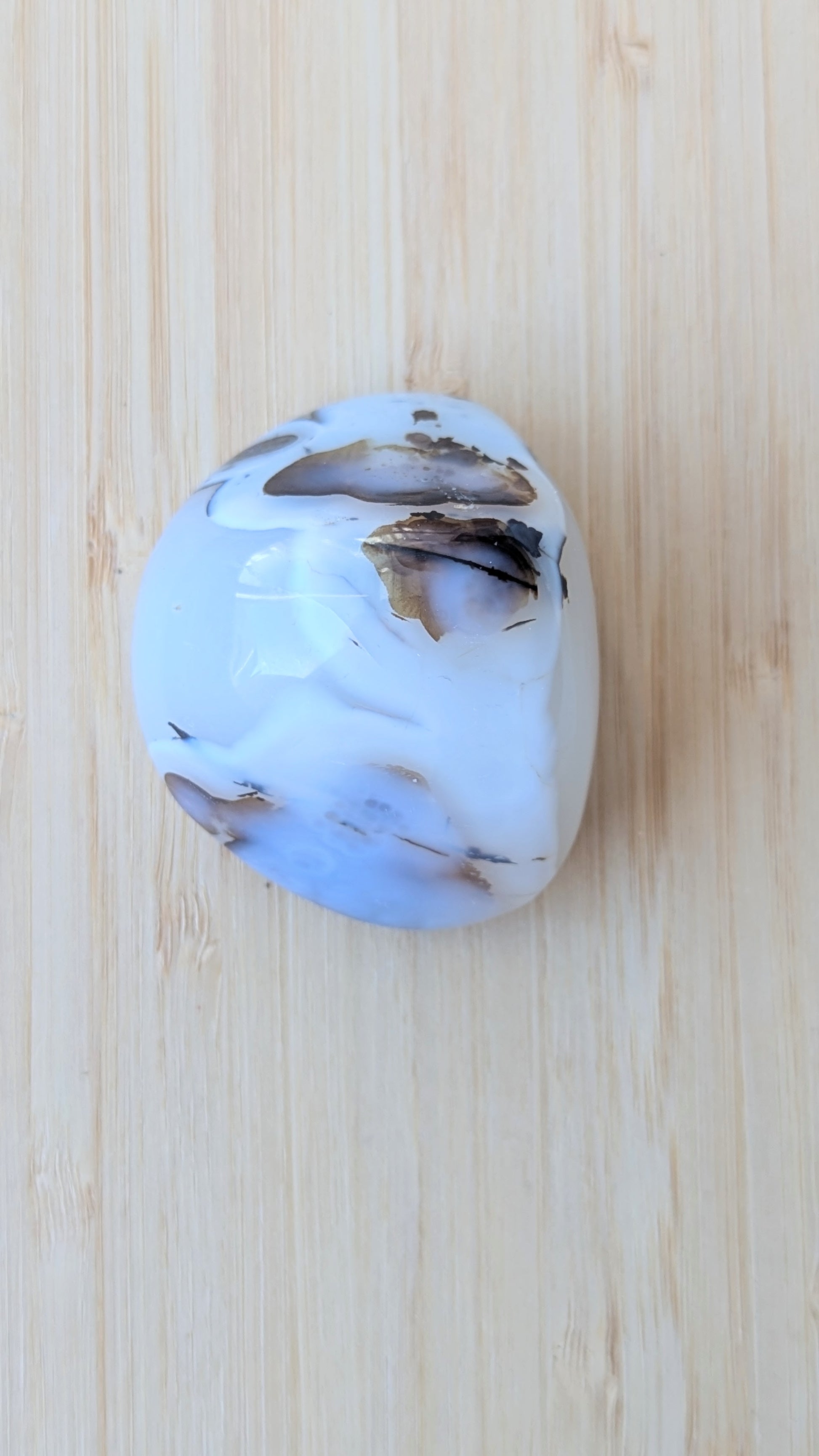 Natural-Dendritic-Tiger-Agate-Palm-Stone