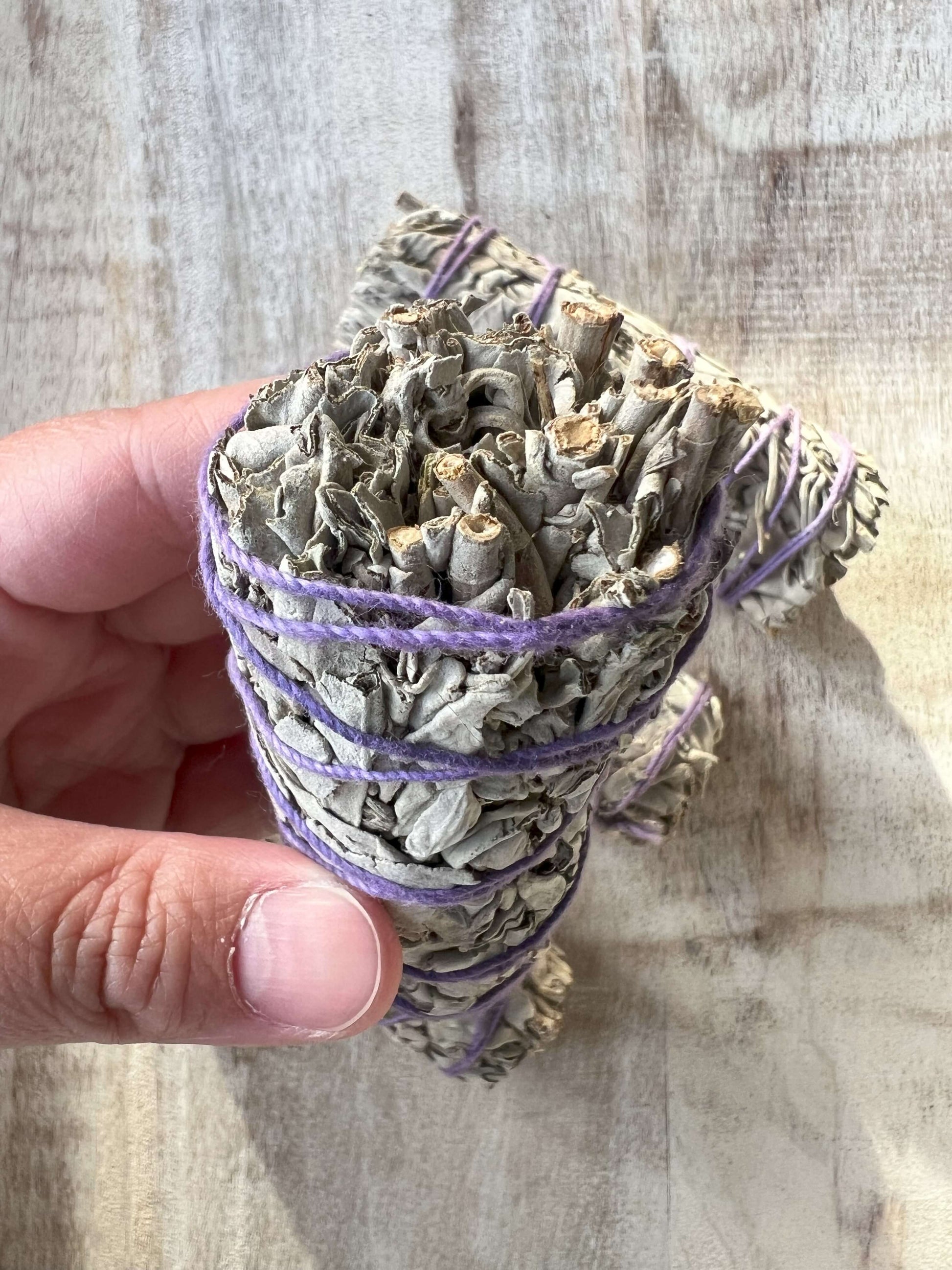 Organic-white-Sage-Smudge-Stick-from-California