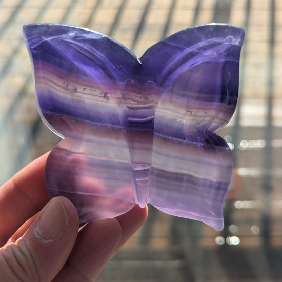 Purple butterfly-shaped object held by a hand with a blurred background