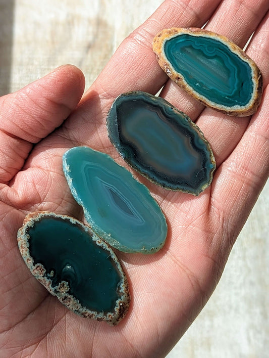 Polished-Green-Agate-Slices