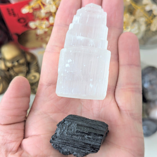 A hand holding two raw mineral specimens: a pale, semi-translucent selenite tower and a rough black carbonized wood or coal-like stone, with blurred decorative crystals in the background.