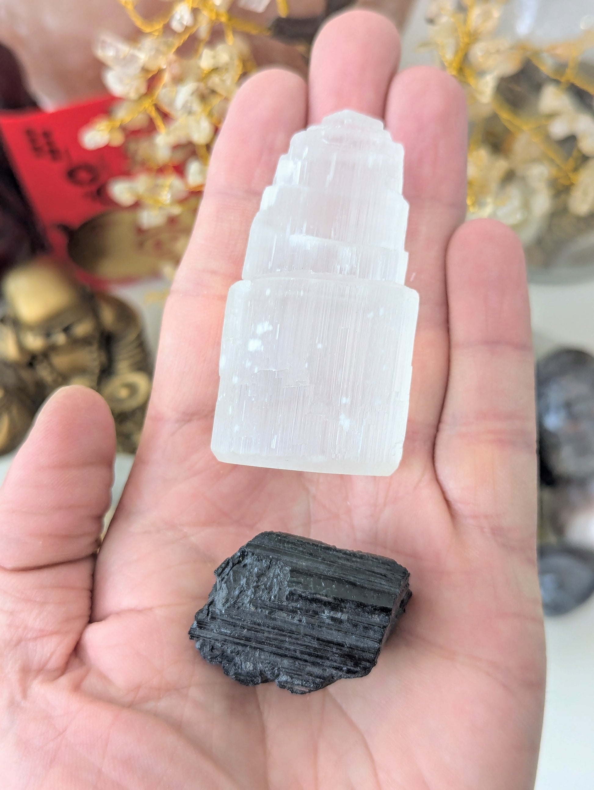A hand holding two raw mineral specimens: a pale, semi-translucent selenite tower and a rough black carbonized wood or coal-like stone, with blurred decorative crystals in the background.