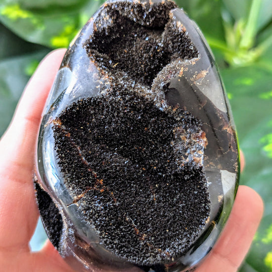 Hand holding a Septarian Druzy Egg against a green leafy background