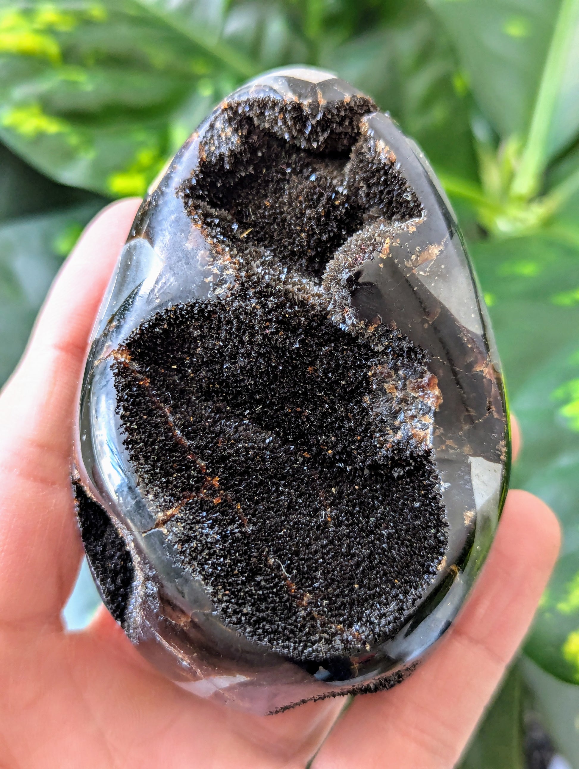 Hand holding a Septarian Druzy Egg against a green leafy background