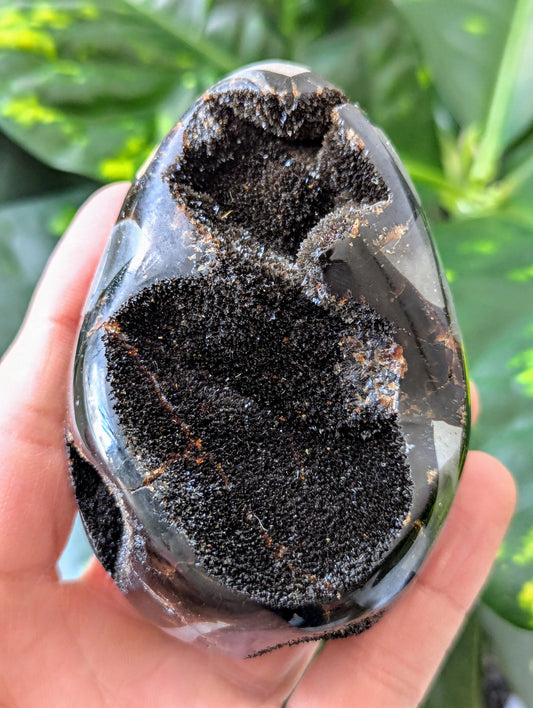 Hand holding a Septarian Druzy Egg against a green leafy background