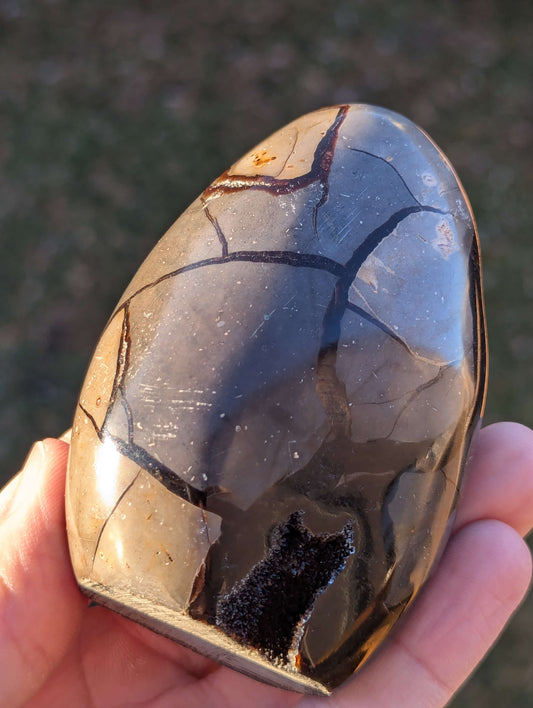 Septarian Egg - 368g