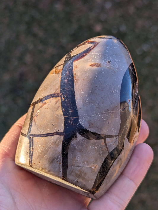 Septarian-crystal-egg