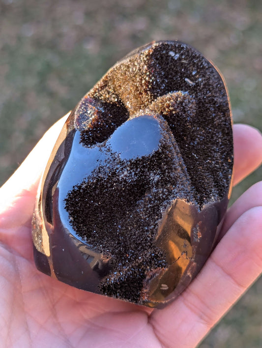 Septarian Egg - 368g