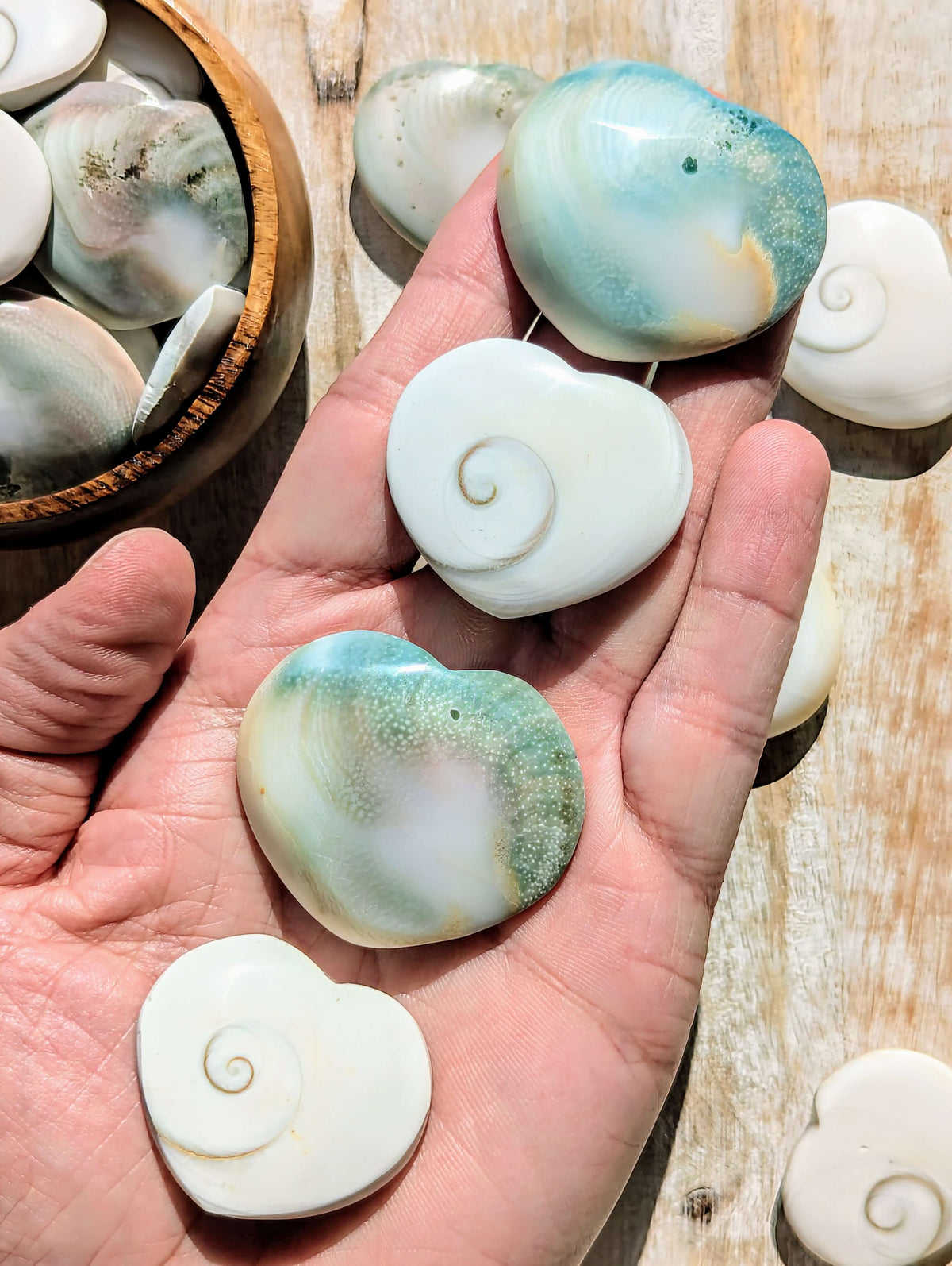 Shiva Eye Shell Heart – Aurora Stones