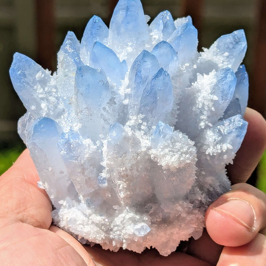 Tiny-Blue-Phantom-Quartz-Cluster