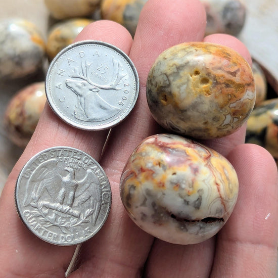 Tumbled Crazy Lace Agate
