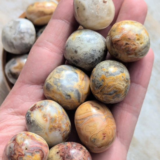 Tumbled Crazy Lace Agate Crystals