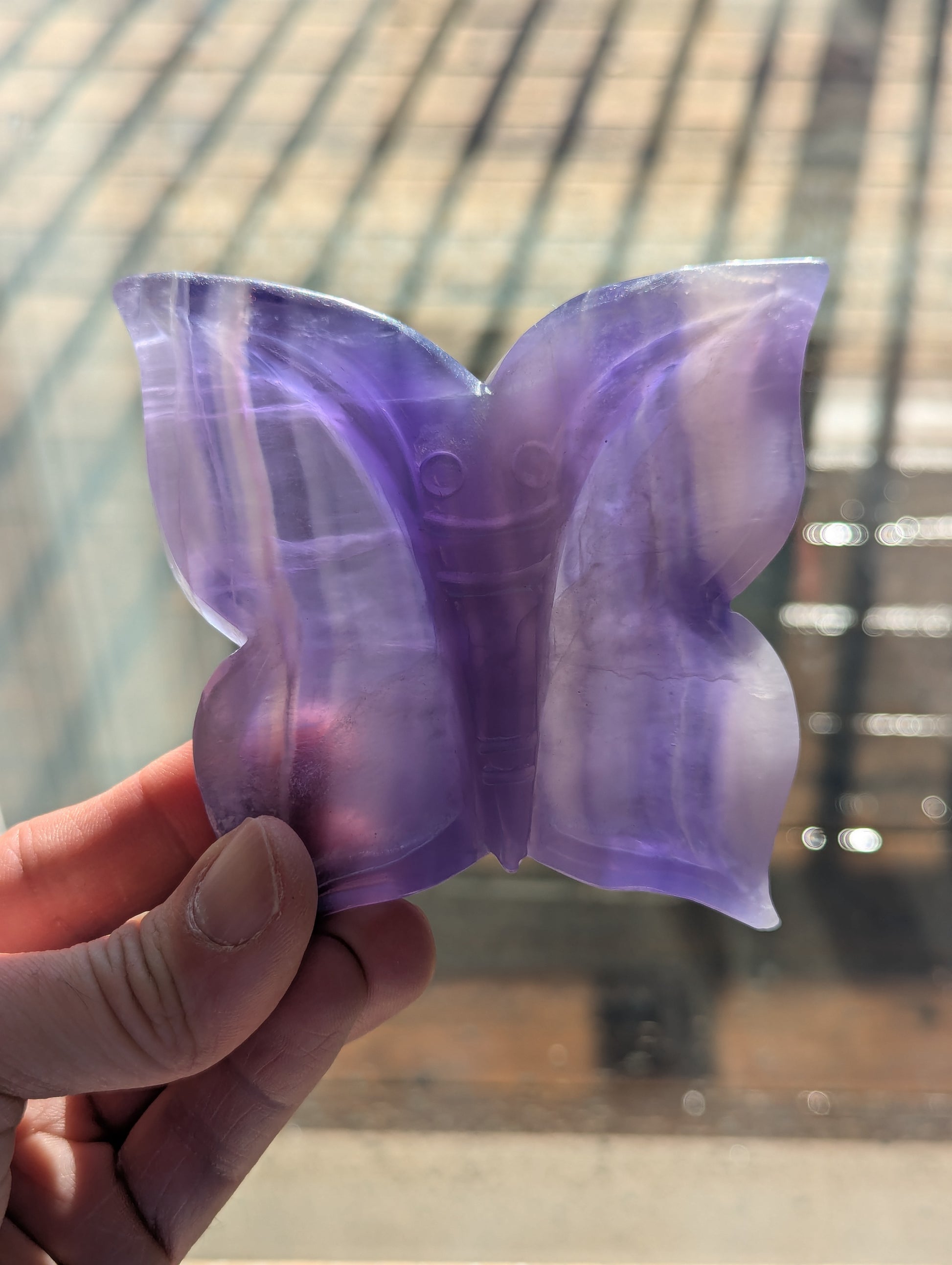 Purple butterfly-shaped object held in a hand with a blurred background