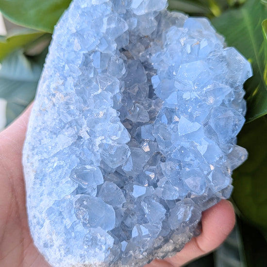 raw-celestite-cluster-large