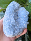 raw-celestite-cluster-large