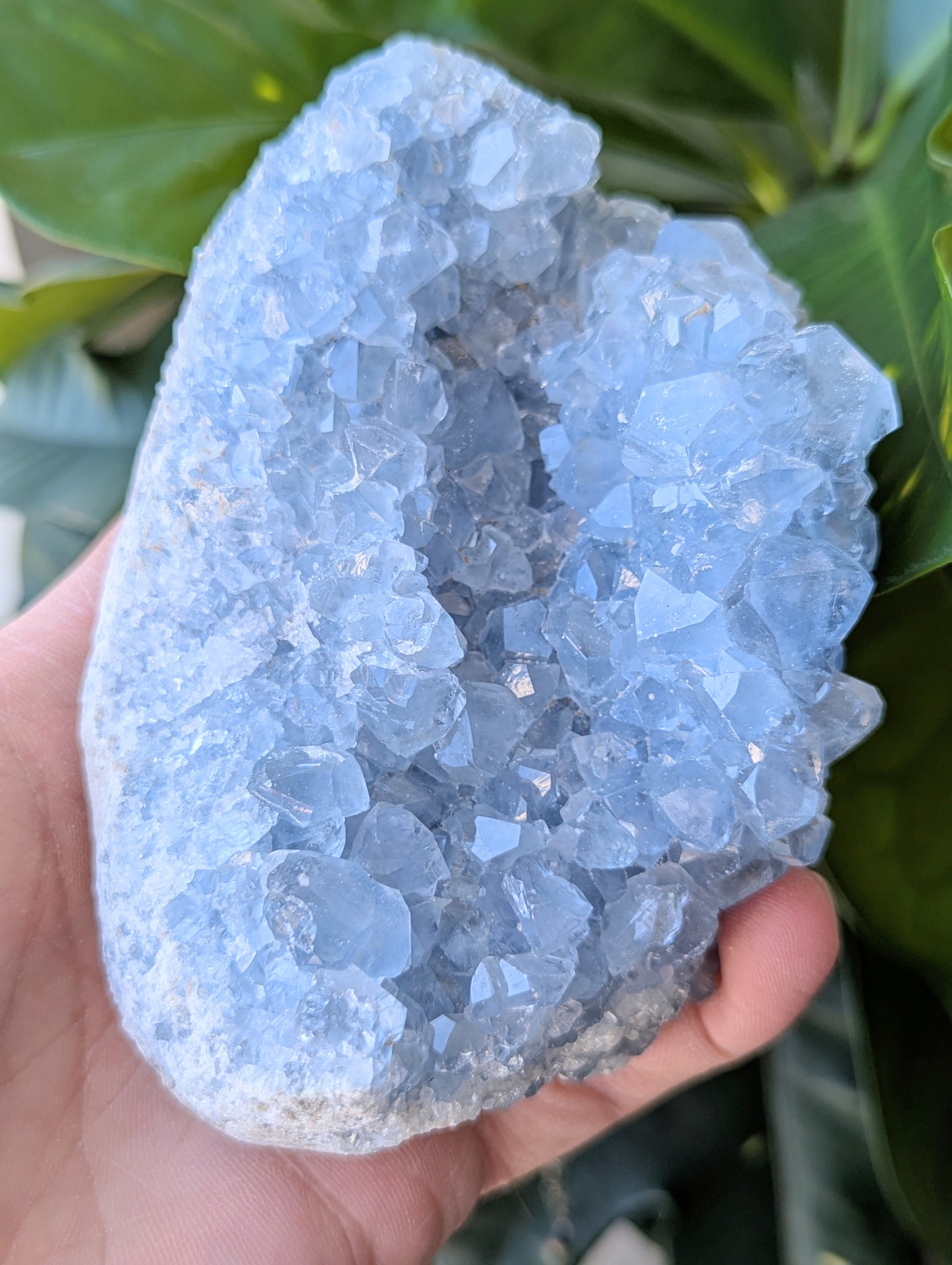 raw-celestite-cluster-large