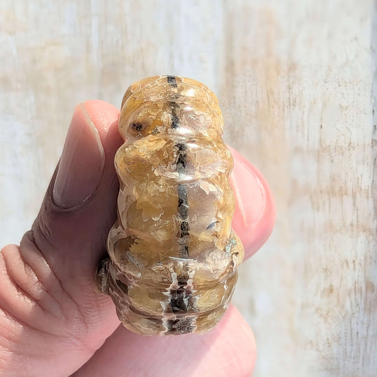 fossil-ammonite-for-jewelry