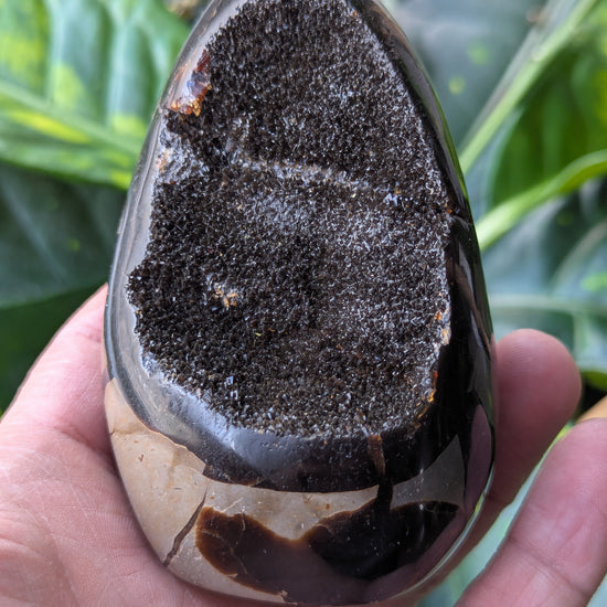 septarian-dragon-egg-crystal
