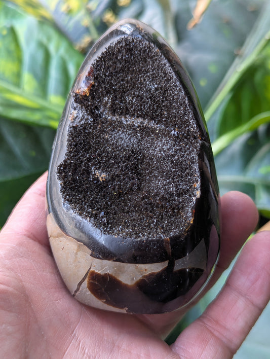 septarian-dragon-egg-crystal